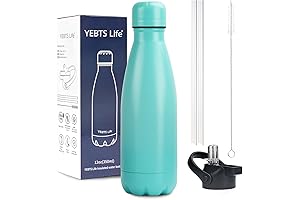Sturdy Stainless Steel Water Bottle (12 oz) - Insulated, with Straw Lid