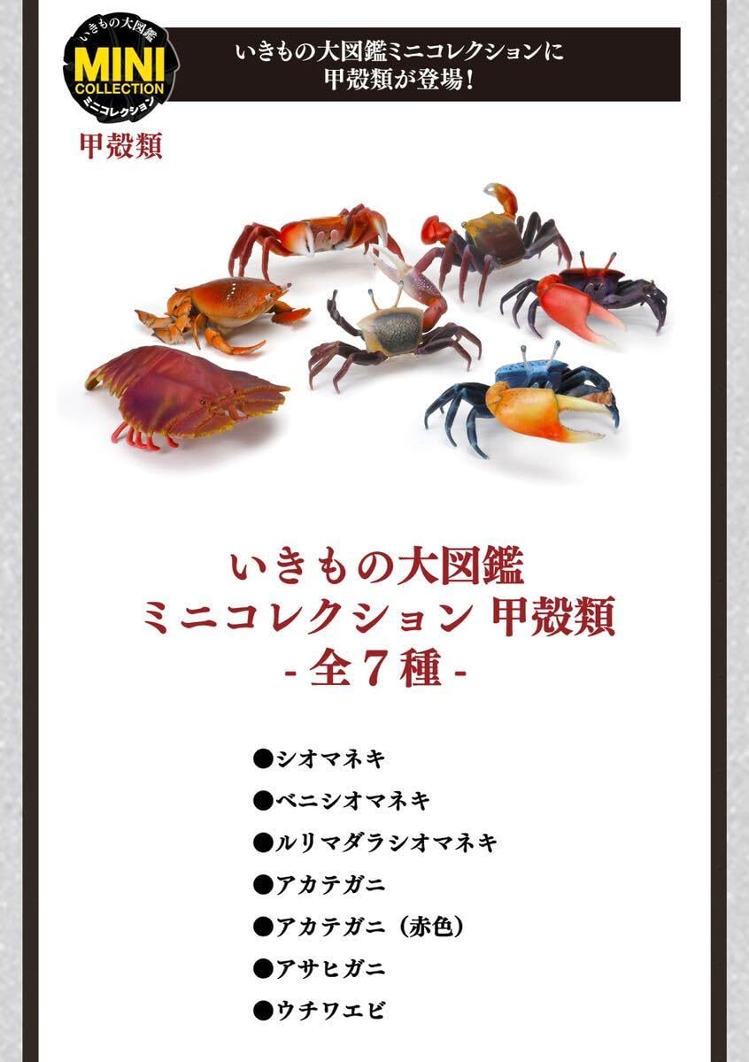 Amazon.co.jp: いきもの大図鑑 ミニコレクション 甲殻類 ベニ