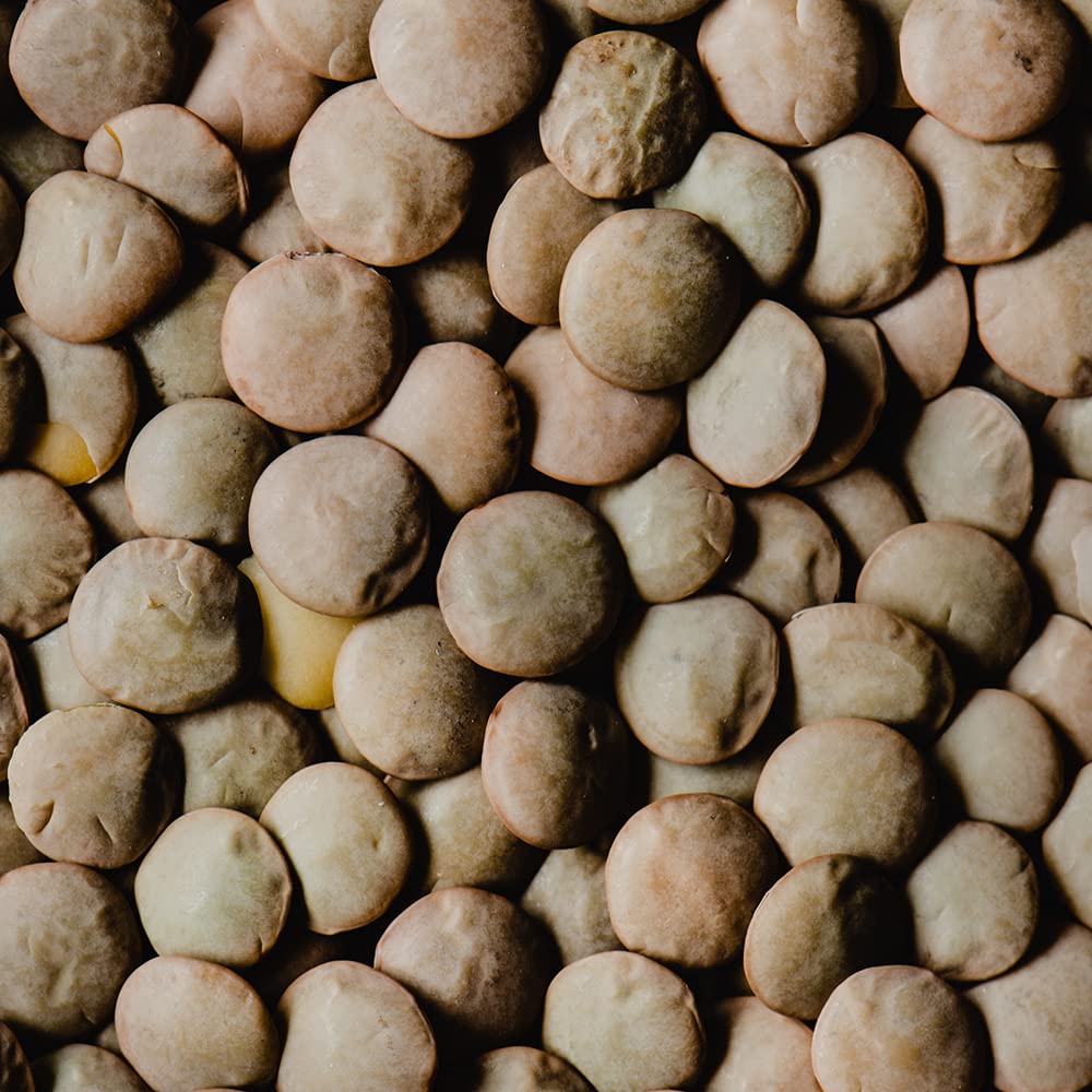 Santa Teresa - Lenteja Pardiña - Categoría EXTRA- 1Kg