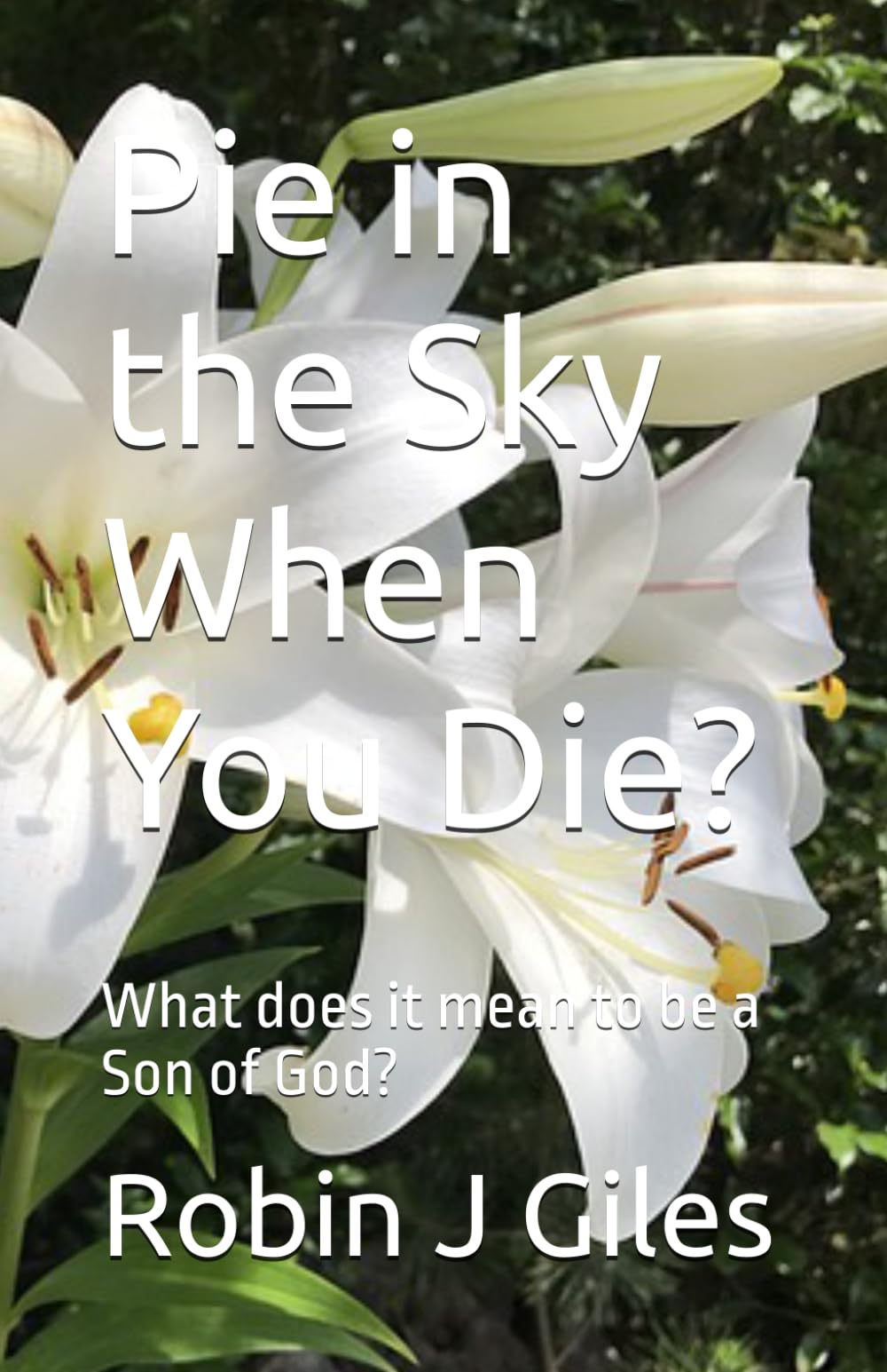 Pie in the Sky When You Die?: What does it mean to be a Son of God?