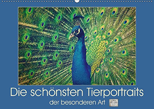 Die schönsten Tierportraits der besonderen Art (Wandkalender 2017 DIN A2 quer): Ausdruckstarke Portraits aus unserer wunderbaren vielfältigen Tierwelt ... Angela und DESIGN Photo + PhotoArt, AD