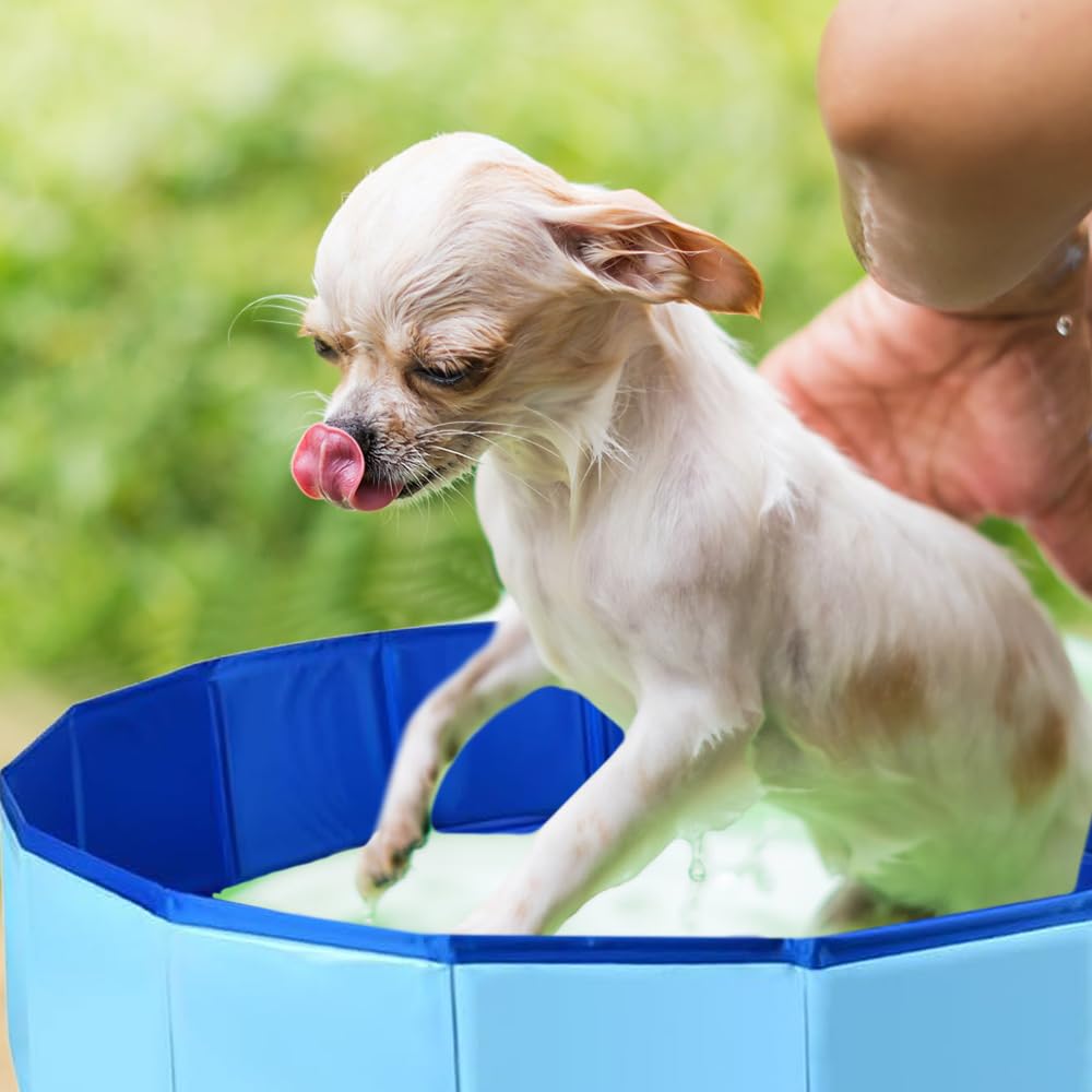 LUFEIS Piscine pour chien 60 x 20 cm Pliable Avec valve de vidange Antidérapante Pour petits chiens et chats Bleu