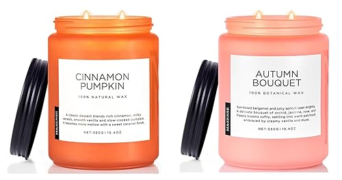 M&SENSE 2 Pack Fall Scented Cinnamon Pumpkin Candles, 19.4oz Soy
