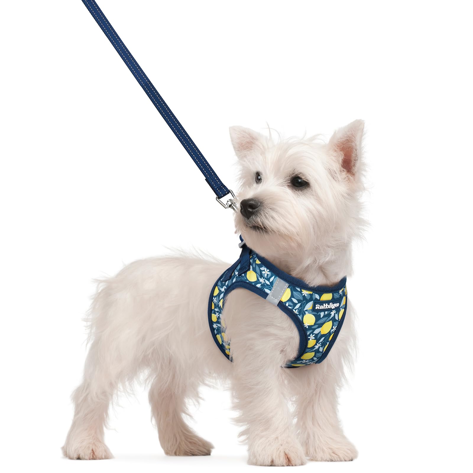 rabbitgoo Dog Harness Small Sized and Leash Set, Step-in Puppy Pet Vest