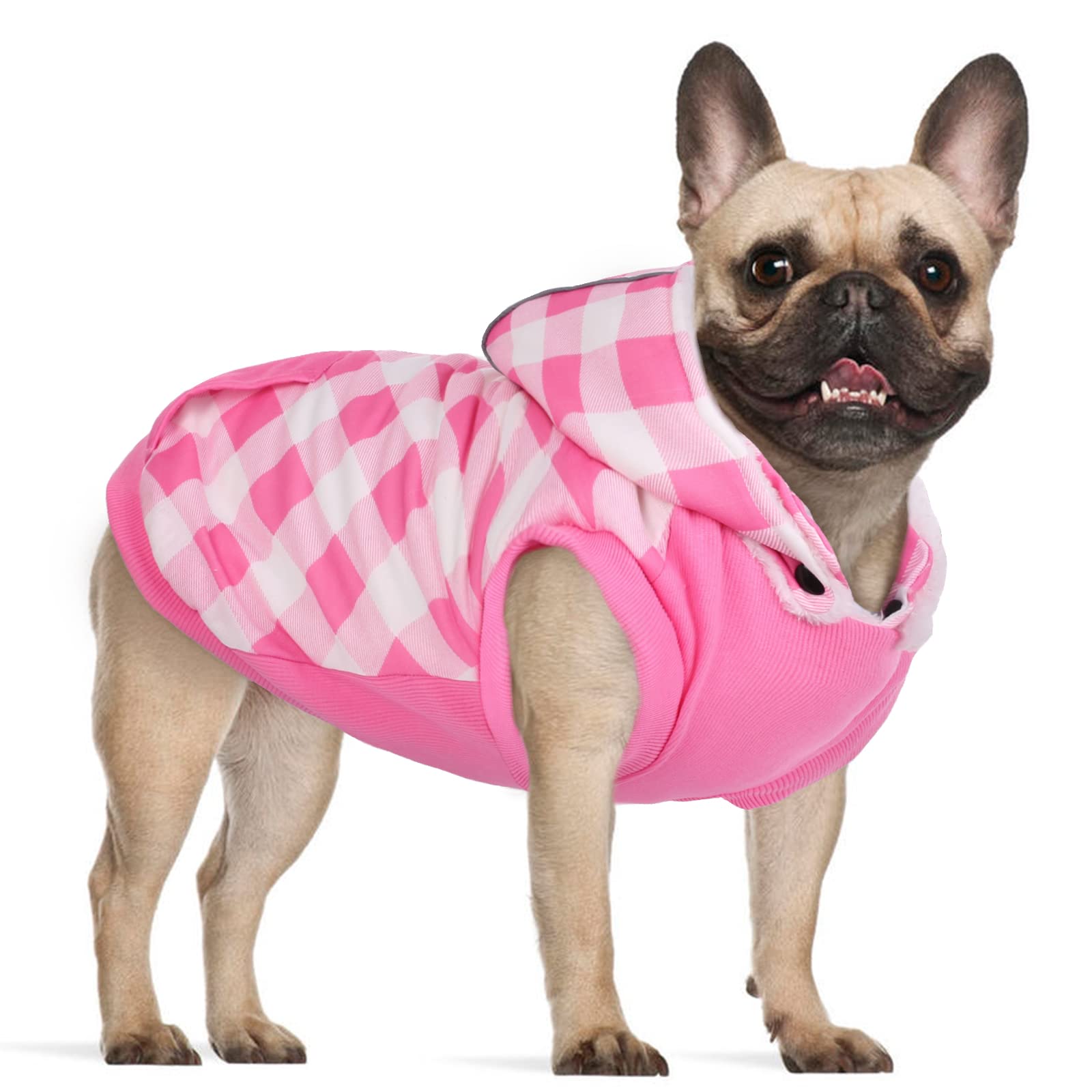 microsoft fetch app