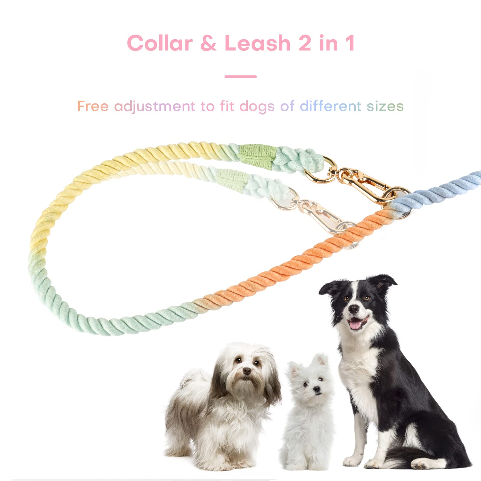 Lucky Monet 5FT Cotton Dog Leash - Image 3