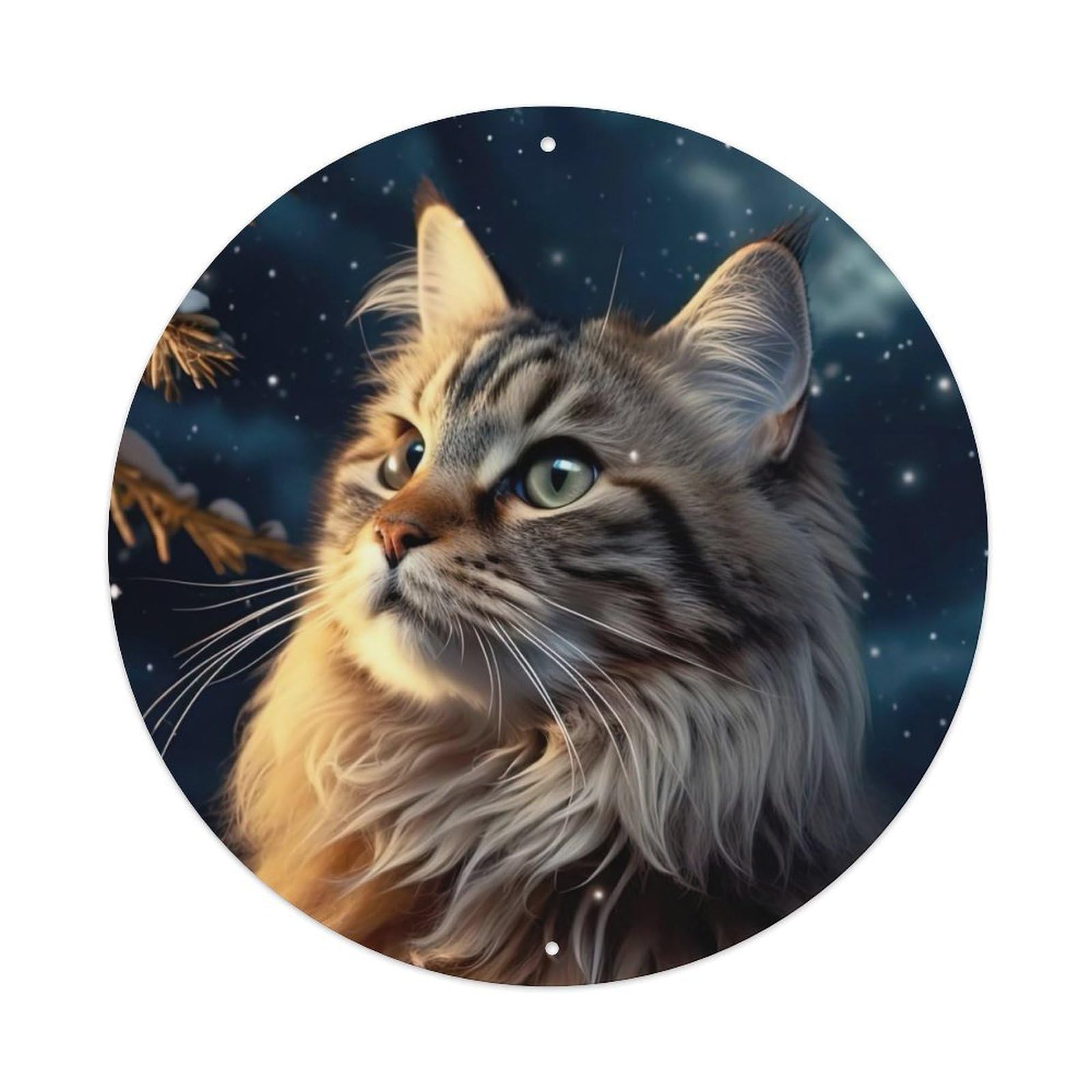 Animal Kitten Looking Up at The Sky Metal Tin Sign