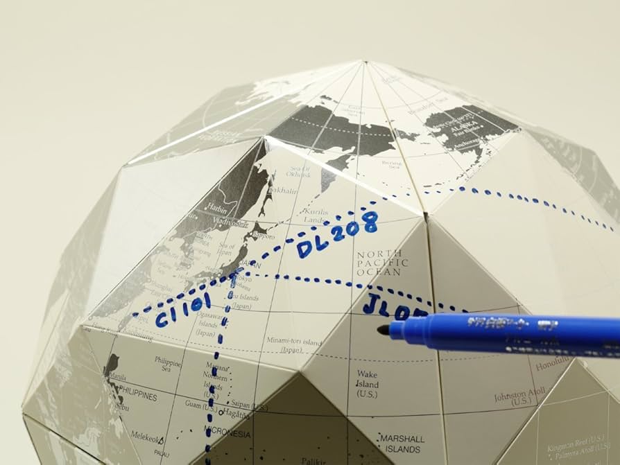 Amazon.co.jp: 地球儀 世界地図 80面体 プラチナ 【ジオデシック