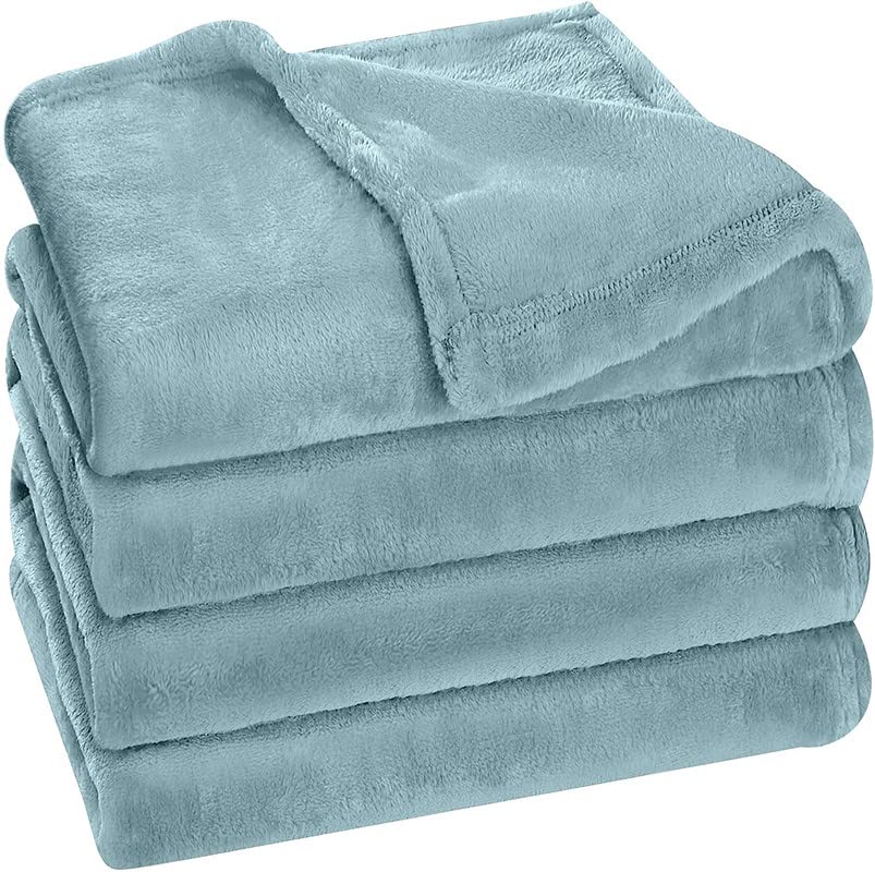 BSB HOME® Premium Plush Double Blanket | 300 GSM Lightweight Cozy Soft for Bed, Sofa, Couch, Travel & Camping| Light Blue, 220x230 cm or 86x90 inches (B0B4JJ91TZ) Amazon Price History, Amazon Price Tracker