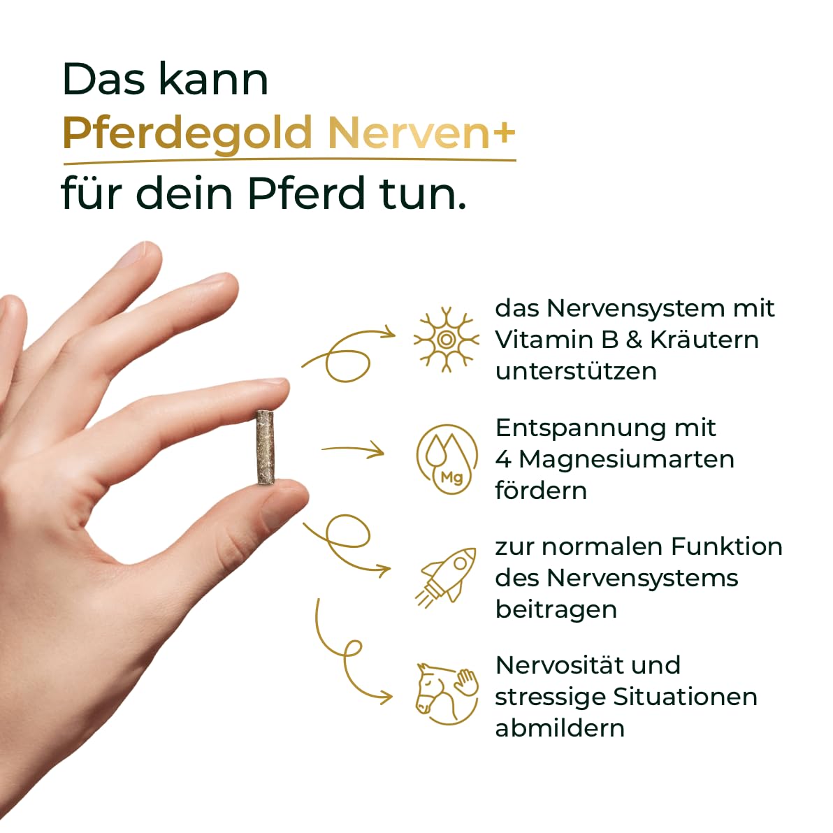 Nerven+ 1,5 kg - Pferde Pellets mit Magnesium & Tryptophan - Unterstützung bei Stress - 100% Natürlich & Melassefrei - Made in Germany