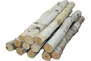 White Birch Tree Branches: A Touch of Nature for Your Home Décor