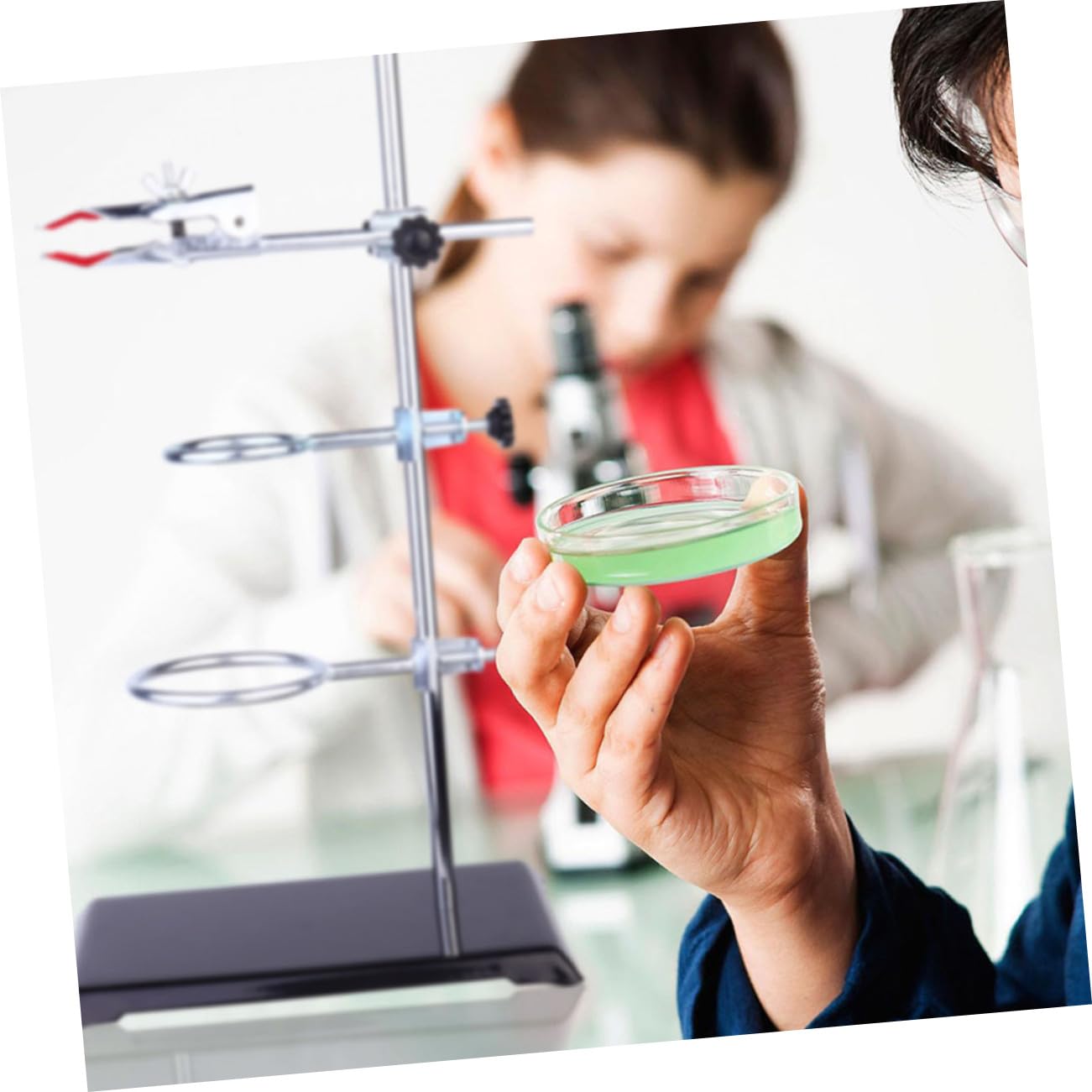 Laborstativ 40cm Edelstahl Mit Klemme Und Ringhalter Für Chemielabor Und Experimentierunterricht