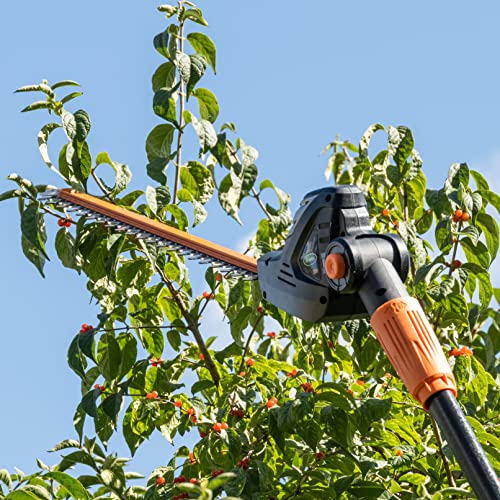 Scotts Lpht12122S 20-Volt 22-Inch Cordless Pole Hedge Trimmer, 2.0Ah Battery And Fast Charger Included #TOP6