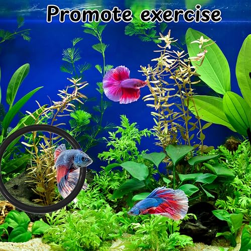 Image of Betta Ring and Mirror Toy for Aquarium, 2 pcs Betta Ring Enrichment Toys, Floating Exercise Mirrors for Fish Tank and Training Feeding Rings, Fish Toys, Aquarium Accessories (Black, M-Heart)