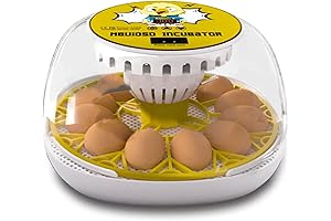 Egg Incubator for Hatching Chicks with Advanced Technologies