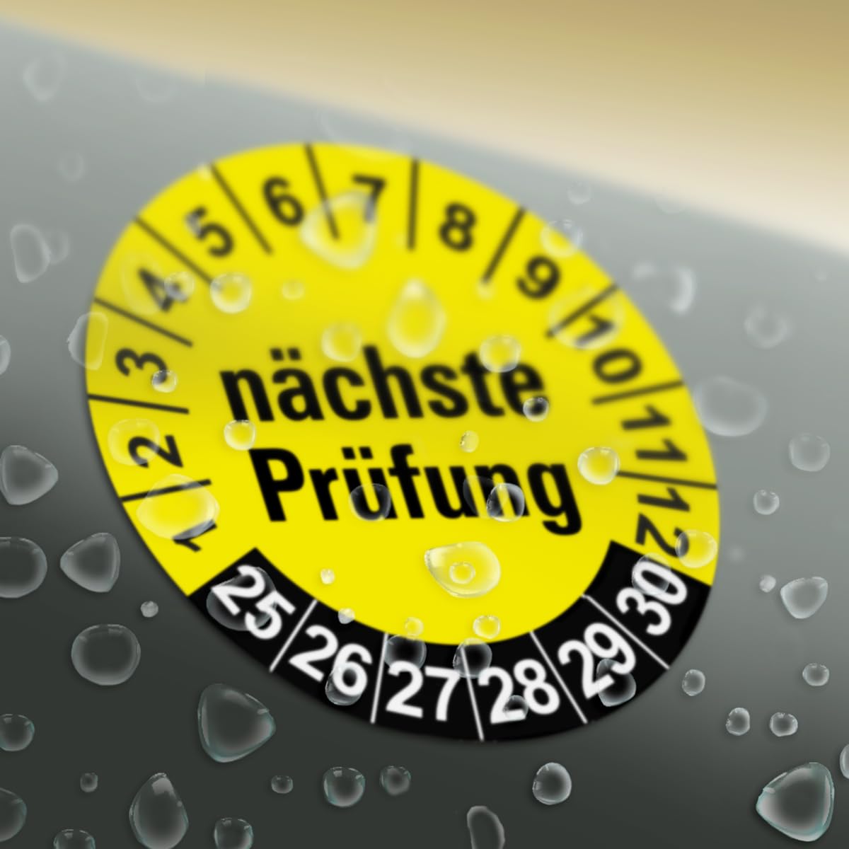 Hochwertige Prüfetiketten FD-4 NÄCHSTE WARTUNG Ø 30mm - Selbstklebende PVC-Folie - Wartungsetiketten für Prüfung - Prüfplakette für Prüfungsnachweis (60 Stück)