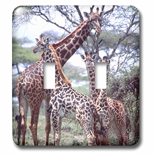 Double interrupteur Girafe David Northcott 3dRose finition premium