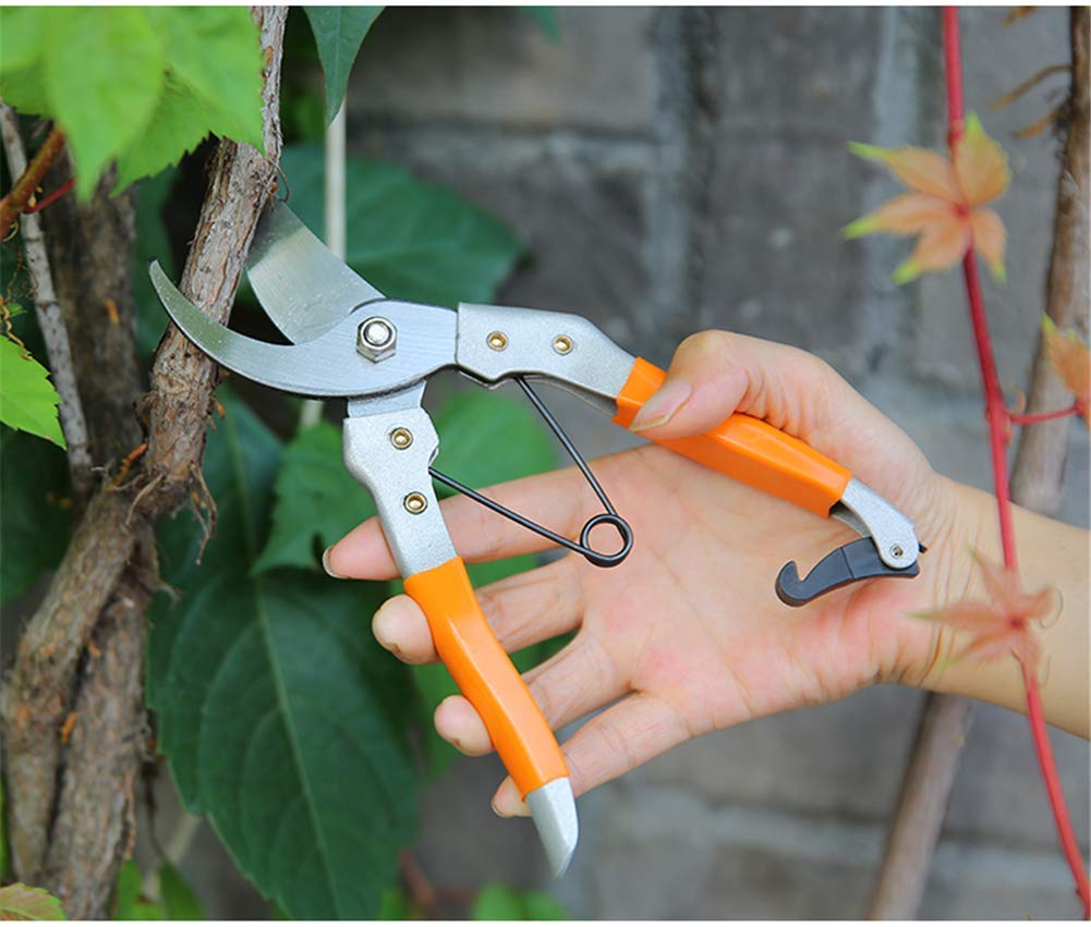 Coltello da potatura, Attrezzi da Giardino con cesoie da potatura Forbici affilate Forti Cesoie per Rami Bonsai Cesoie da potatura affilate in Acciaio