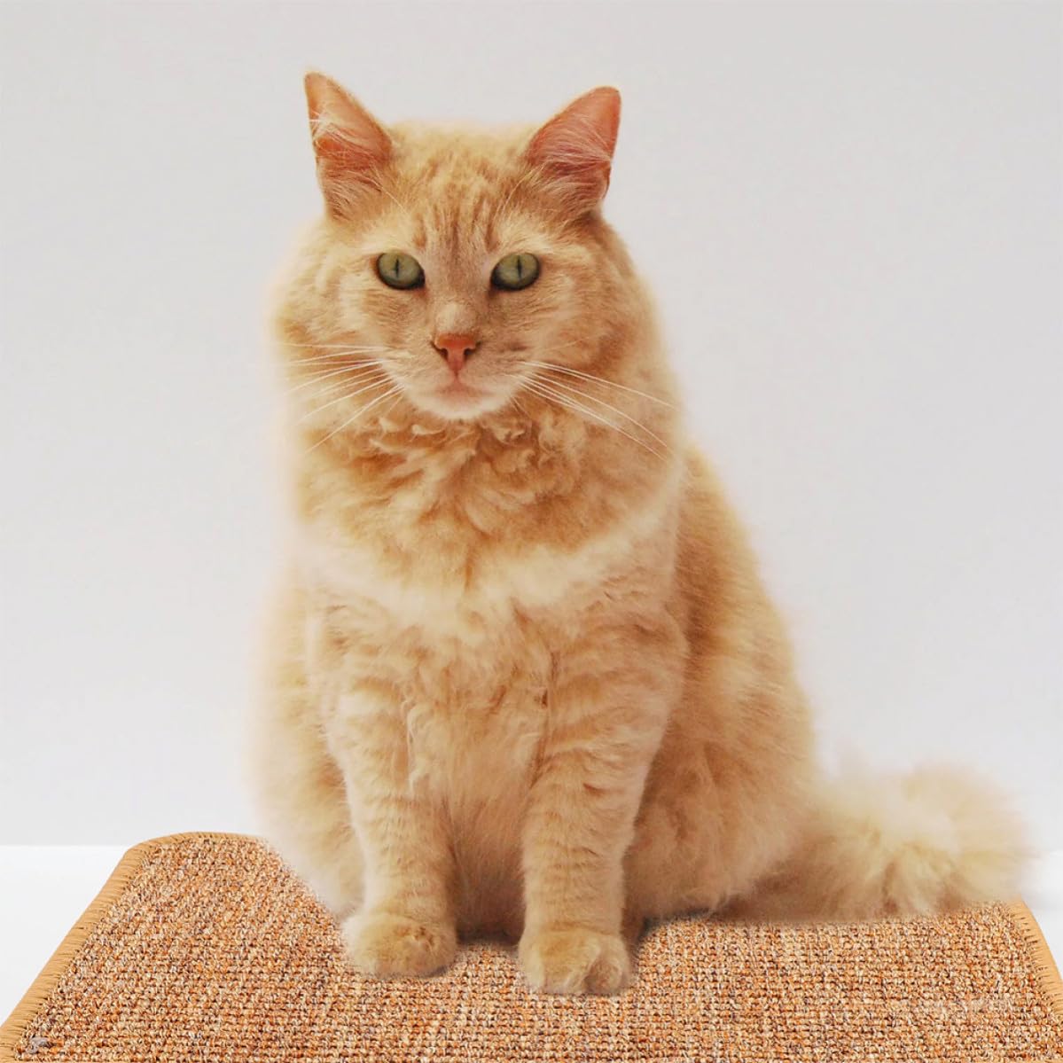 Tappeto Tiragraffi per Gatti in Sisal, Tappetino per Pavimento