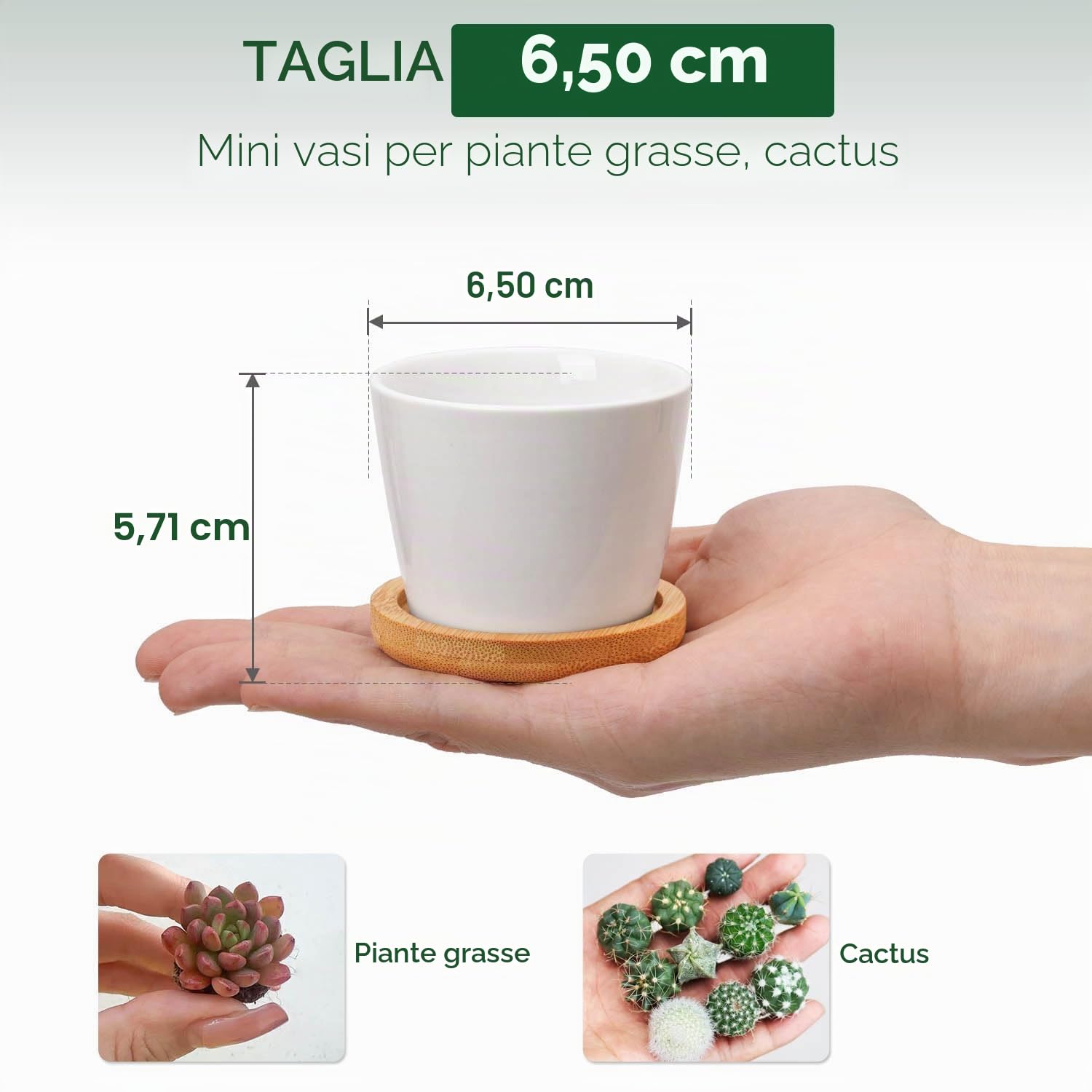 T4U vaso per piante da interno bianco rotondo con sottovaso, vaso piante grasse per cactus, set da 12, per uso dedicato agli amanti delle piante, decorazione per scrivania, scaffali e finestre
