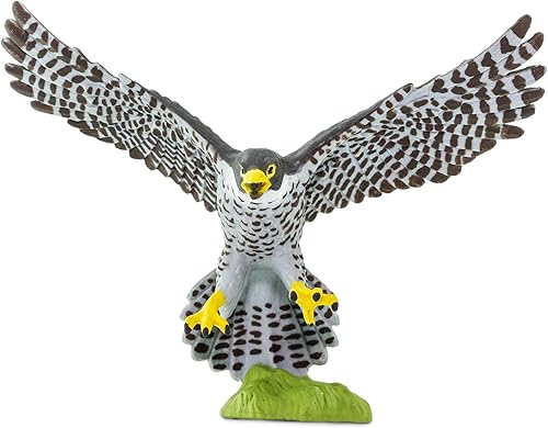 Miniatura 6 de Safari Ltd. Figura de halcón peregrino, figura detallada de plástico de 3.75 pulgadas, divertido juguete educativo para niños, niñas y niños a