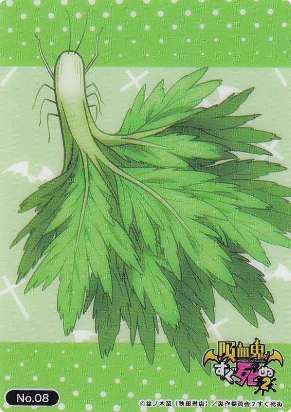 セロリさん専用 ゼロクリーナー – SurLuster公式オンラインショップ