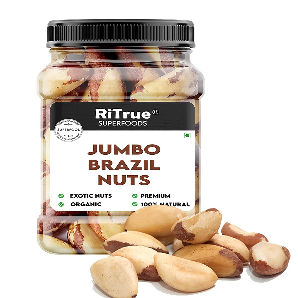 RiTrue - Exotic Brazil Nuts - 250 Gm - Brazilian Nut Organic | Raw | Rich Source of Selenium Protein Rich - Imported from Peru (B08X4TQP1Z) Amazon Price History, Amazon Price Tracker