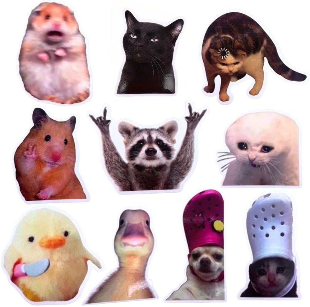 10PC Funny Meme Animals Fridge Magnets, Fun Cute Weird Magnetic Crying Cat Dog Hamster Duck Magnets for Gaming Kitchen Home Decor Bumper School Locker Work for Boys Girls Adult Accessories