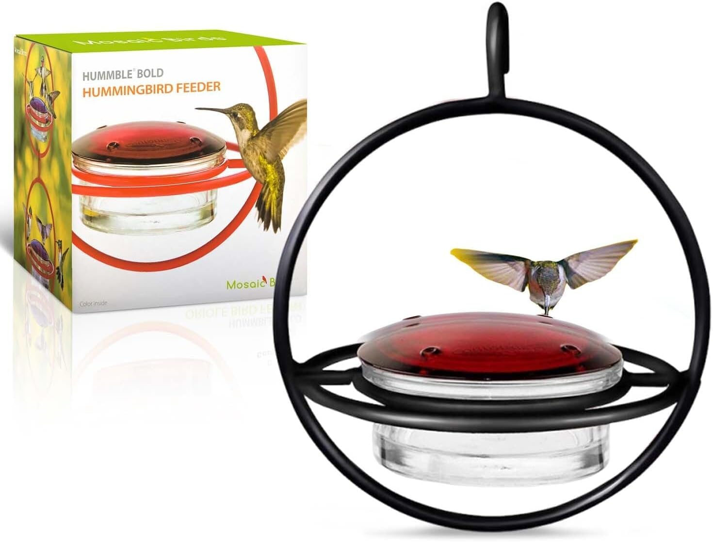 Hummingbird Feeder for Outdoors Hanging, 3.4 OZ Hummingbird Feeders, Glass Bowl with 4 Feeding Ports, Leak Proof Lid & Circular Perch, Bird Feeder (1, Black)