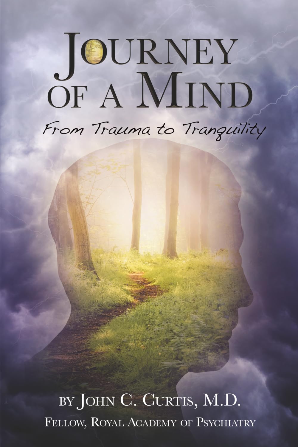 Journey of A Mind: From Trauma to Tranquility