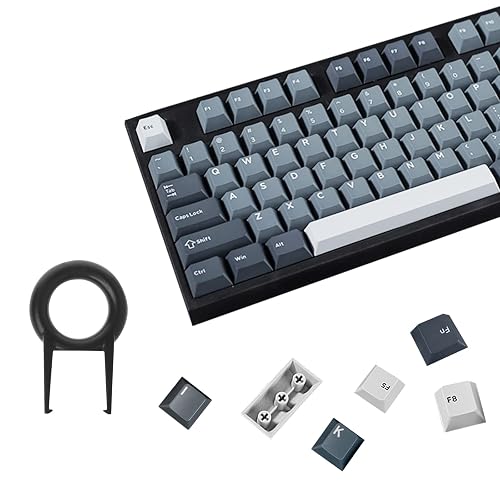173 Tasti Keycaps Apollo PBT Cherry Profile Double Shot Retro