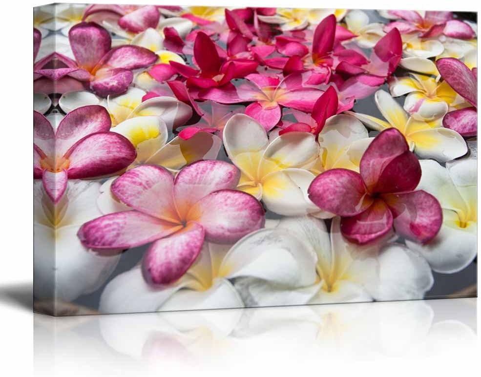 wall26 - Canvas Prints Wall Art - Multicolored Plumerias Floating in The Water | Modern Wall Decor/Home Decoration Stretched Gallery Canvas Wrap Giclee Print. Ready to Hang - 16" x 24"