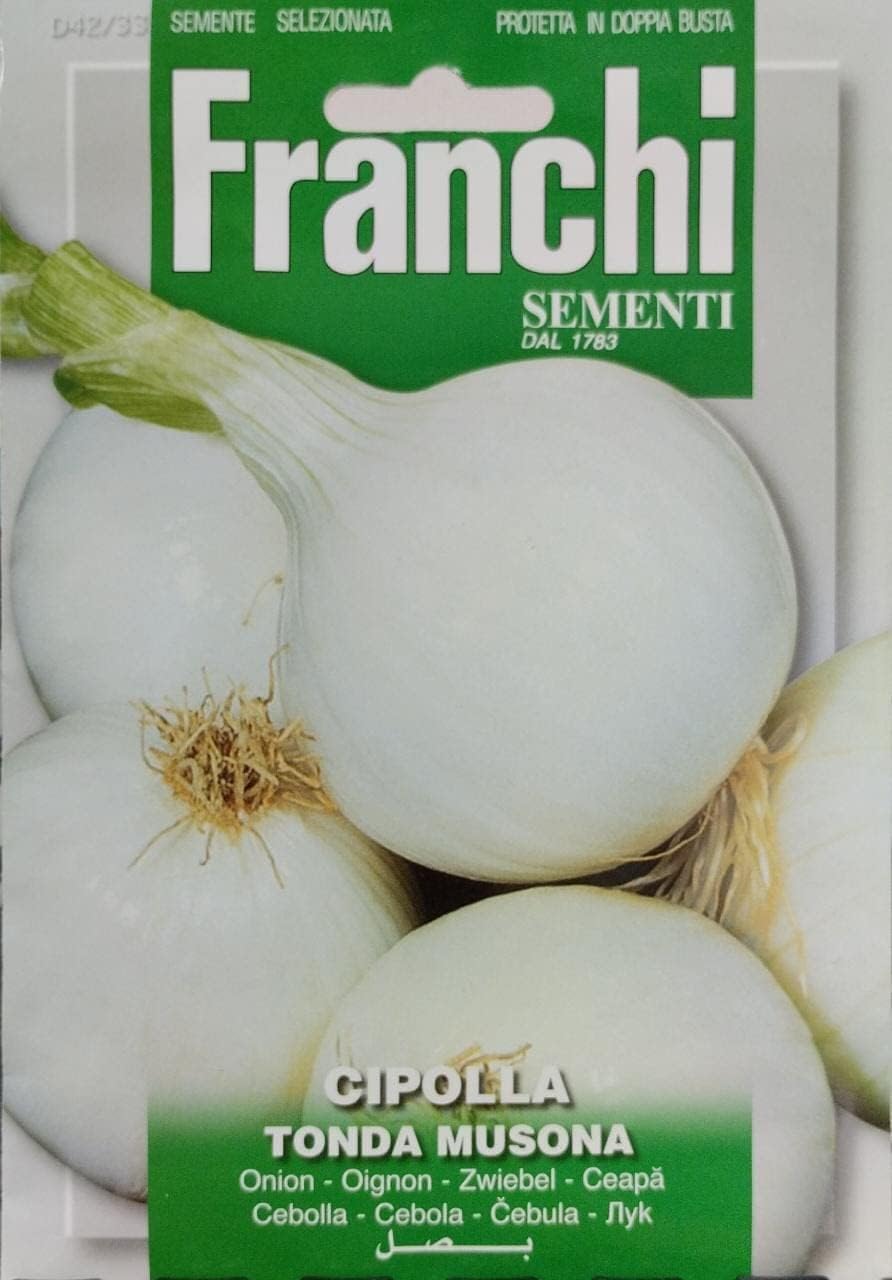 White Onion Cipolla Tonda Musona Seeds