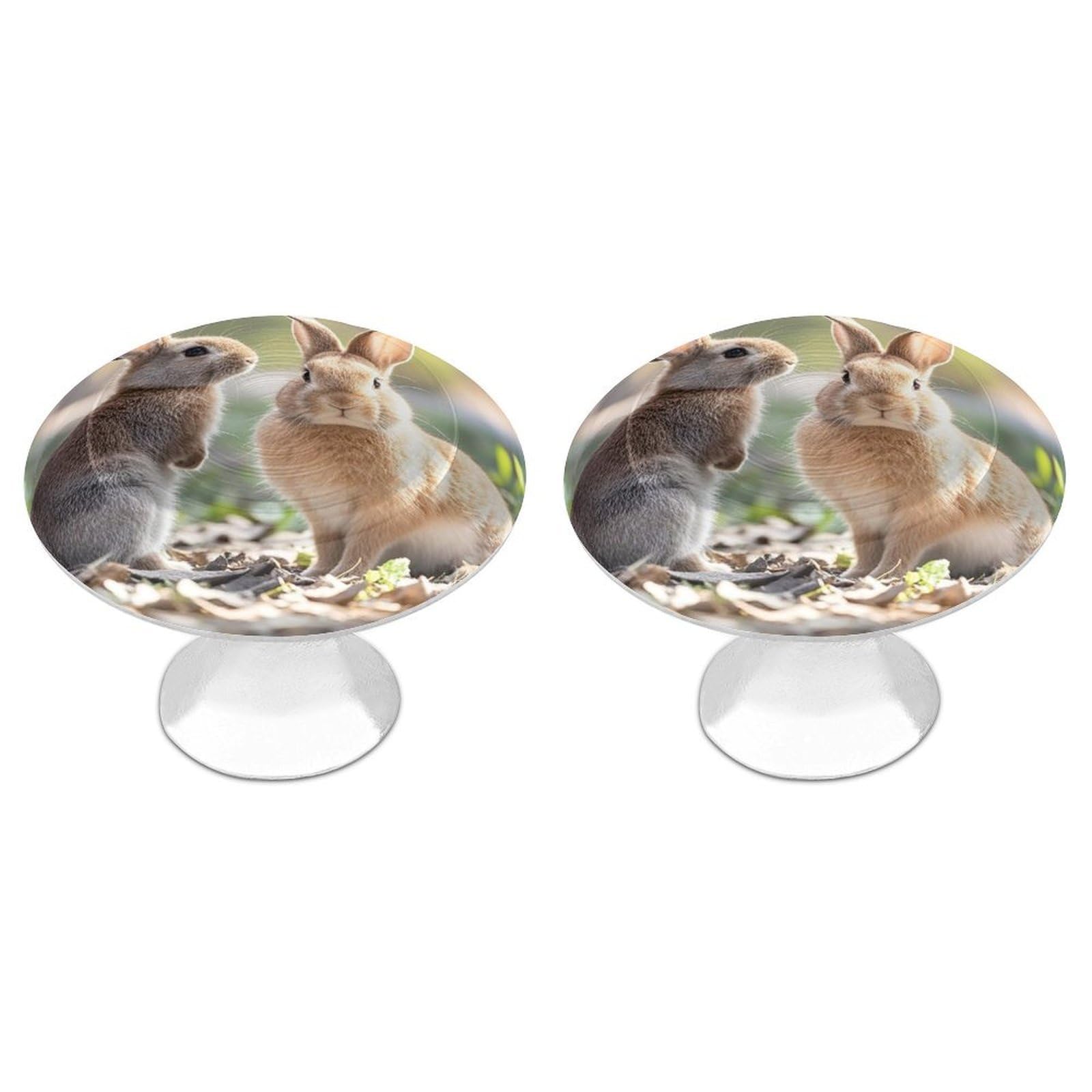 FekiLoot Two Little Cute Rabbits Cabinet Knob 2 Pack Mini Round Drawer Pulls Stainless Steel Dresser Drawer Knobs Kitchen Drawer Hardware for Bathroom Dresser Closet Door Knobs