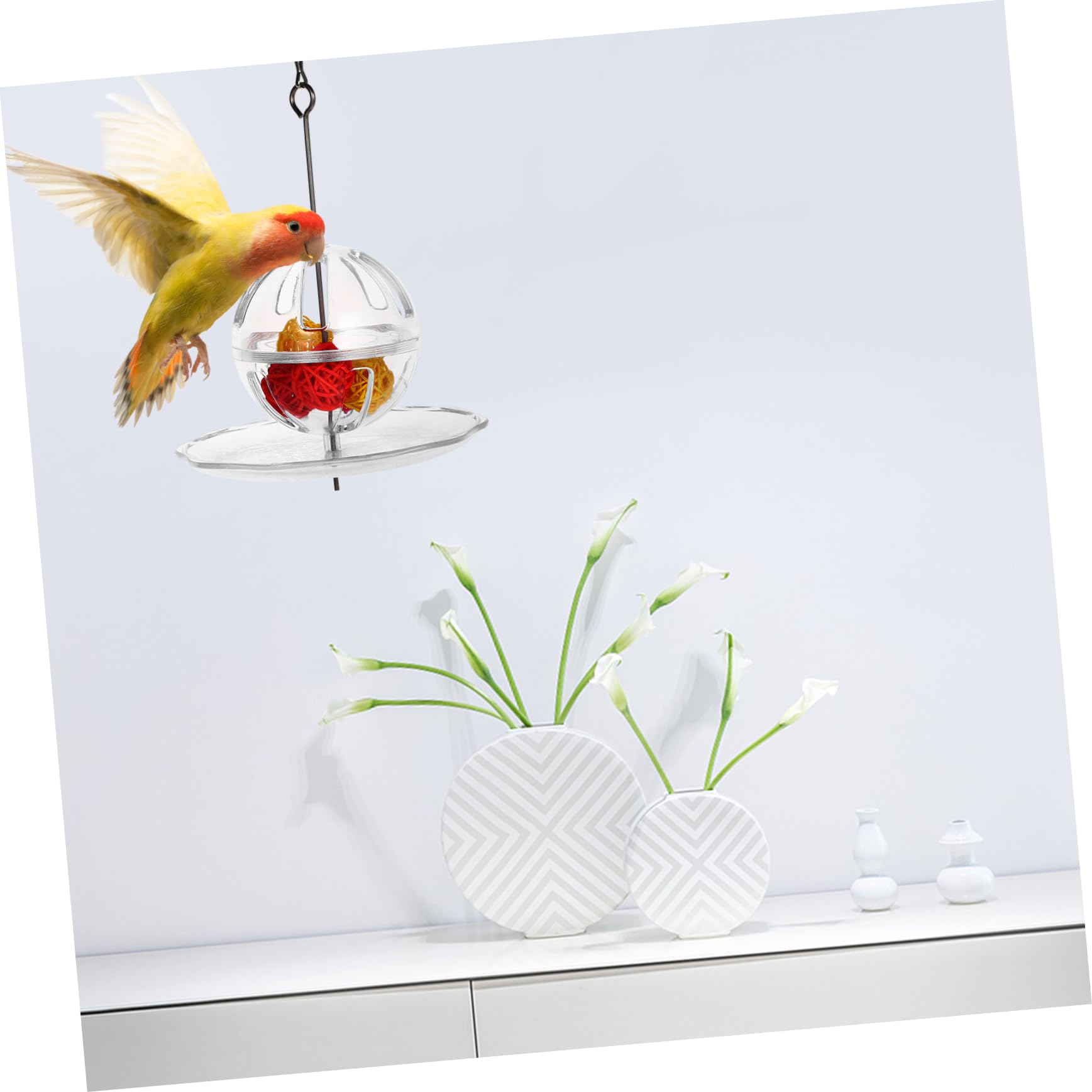 YARNOW 2 Pièces Boule de Recherche de Perroquet Jouets éducatifs mangeoire pour Cage à Oiseaux Jouets de Fruits Jouet écureuil Jouet à mâcher pour Oiseau mangeoire Suspendue pour Oiseaux