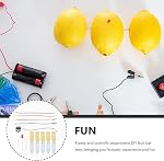 VANZACK Fruit Kit d'expérience en science de la batterie Kit de fabrication de batterie pour les enfants DIY Projet de physique Science pour l'apprentissage en salle de classe Jouets pratiques