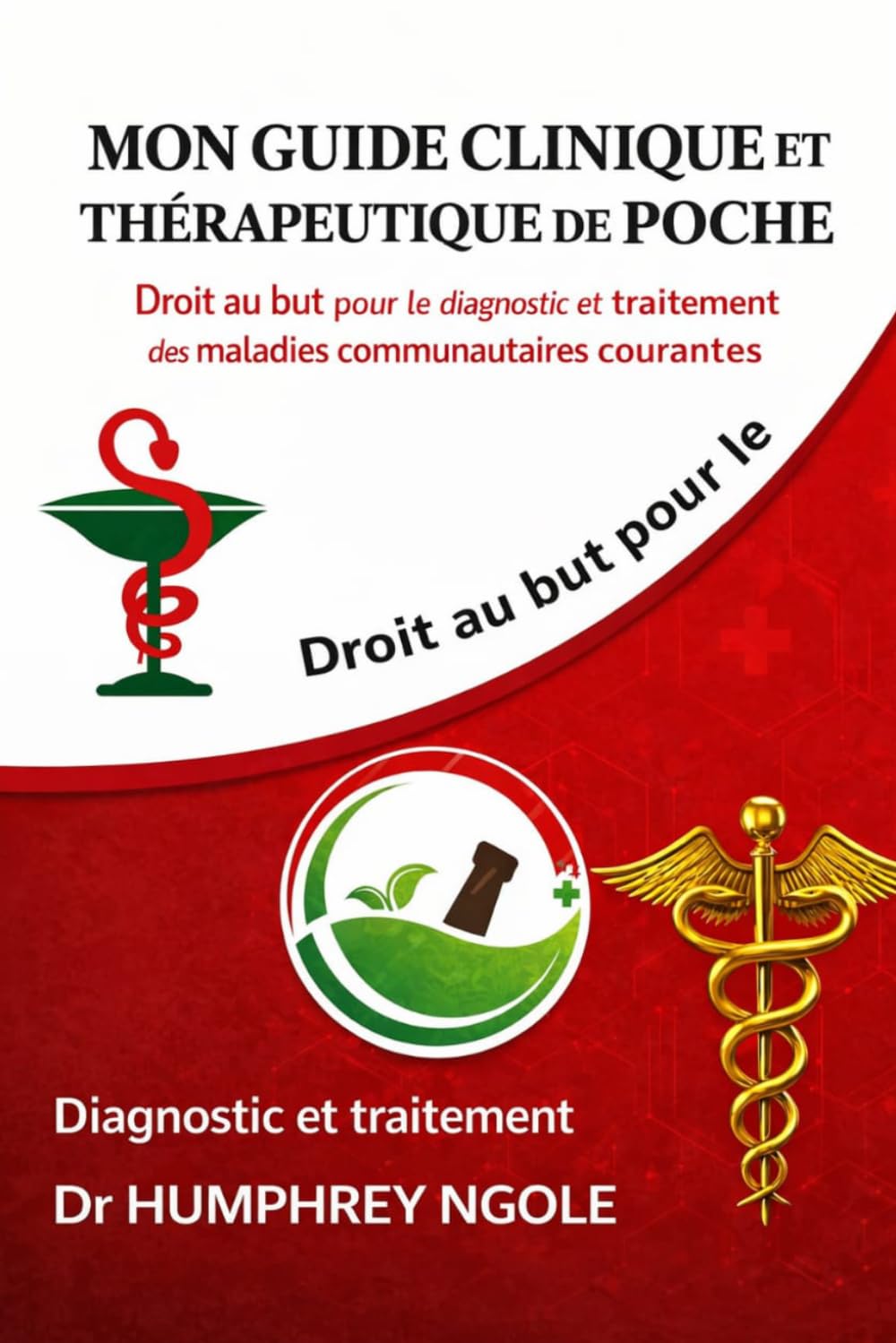 MON GUIDE CLINIQUE ET THÉRAPEUTIQUE DE POCHE: Droit au but pour le diagnostic et le traitement des maladies communautaire