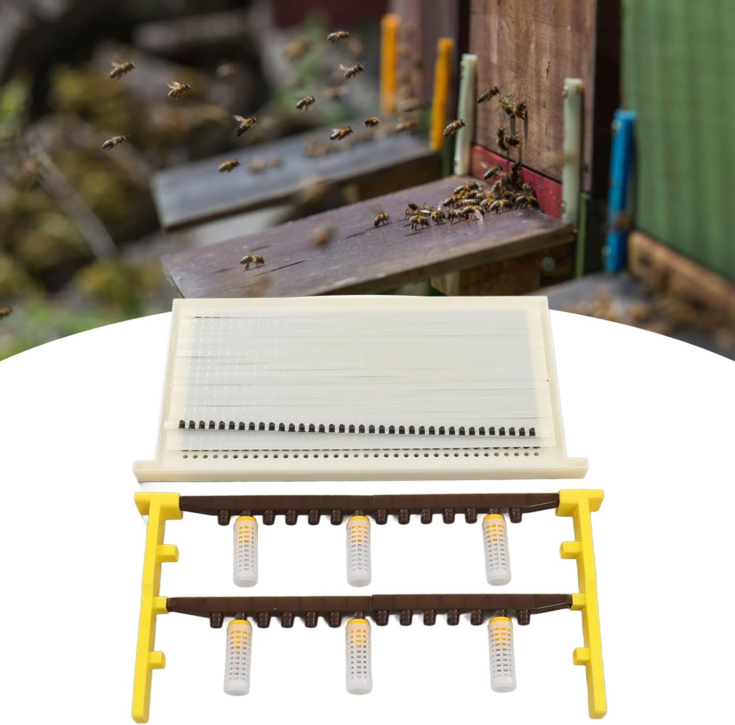 Queen Bee Breeding Kit, Beekeeping Cell Cup, Queen Bee Breeding Frame Set for Beekeepers