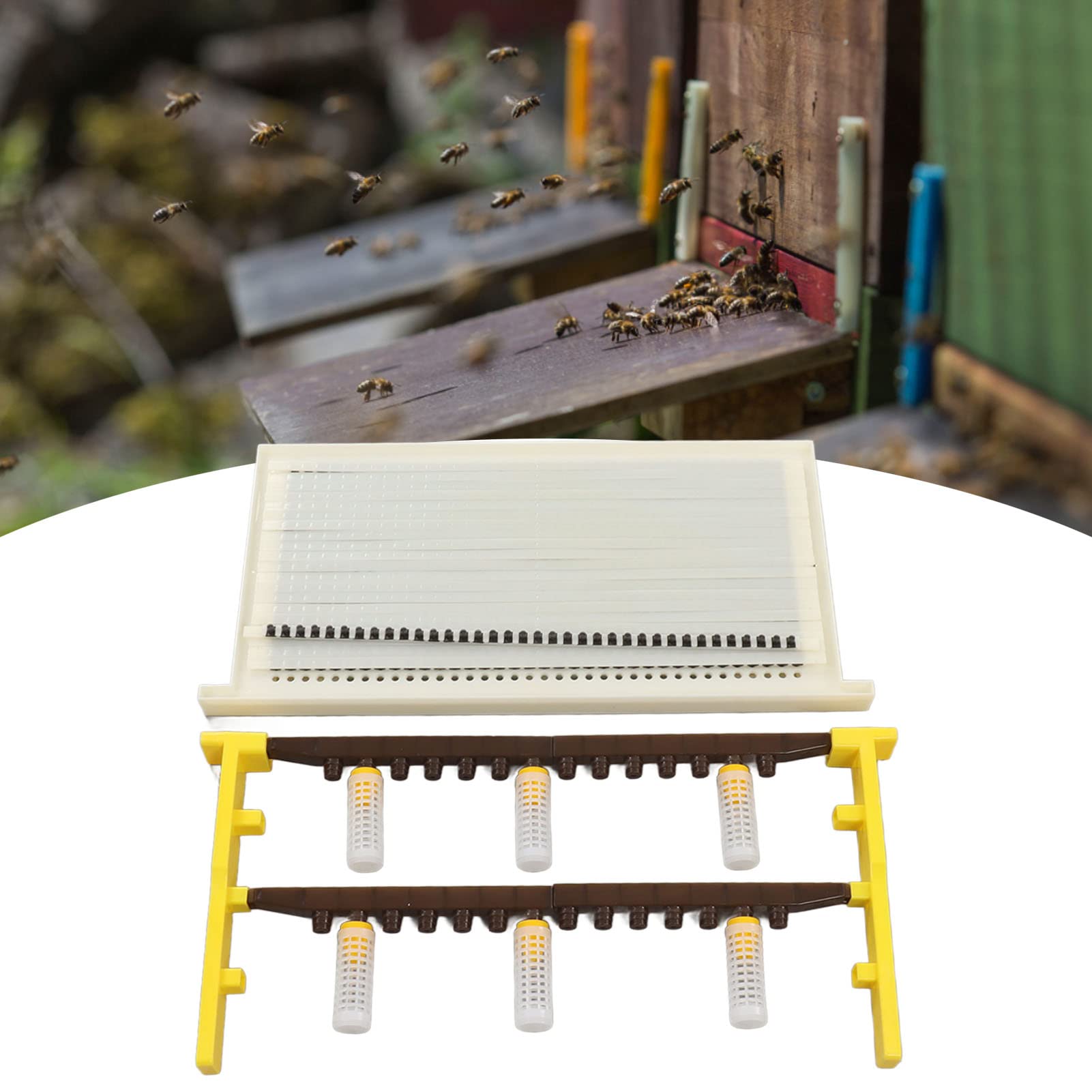Fdit Kit de Cría de Abejas Reina de Plástico, Kit de Cría de Abejas Apicultor Reina, Sistema de Apicultura, Juego de Herramientas para Apicultores