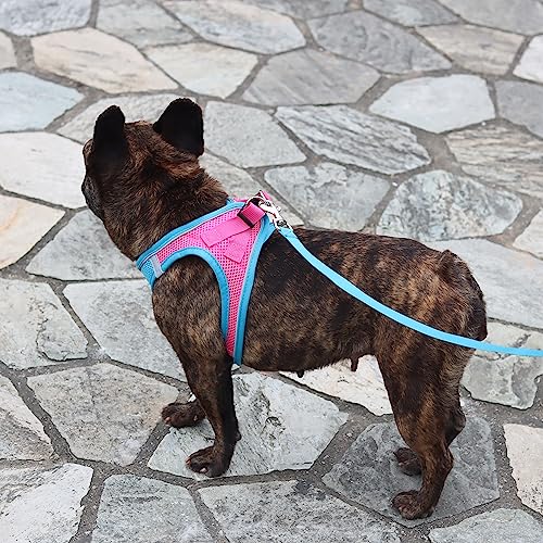 Balabuki Dog Harness Vest For Small And Medium Dogs No Pull, Easy Walk Soft Step In Escape Proof Reflective Harness And Leash Set, Xs (Pink/Blue) #TOP5