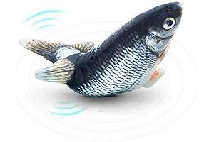 Talking Fish Plaque: A Lively Addition for Marine Enthusiasts