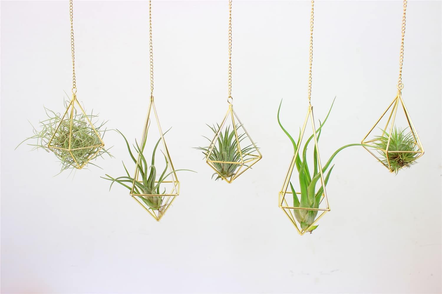 SZRUIZFZ Geometric Hanging Tillandsia Holder Gold Metal Air Plants Holders Hanging for House Decor Living Room Small Plant Holders Indoor Hanging Plant Lover Gifts (5Pcs)