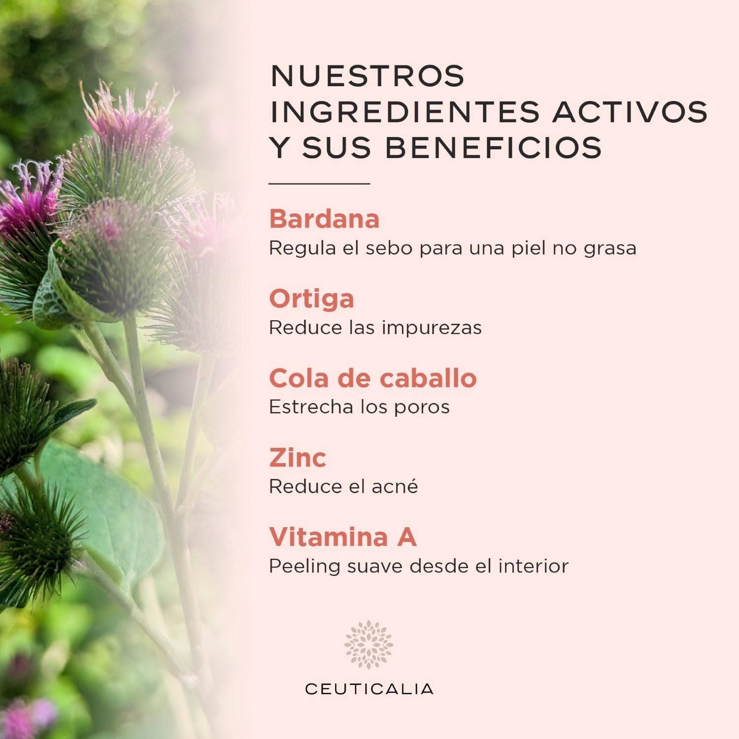 Suplemento para la Cara y la Piel - Anti Puntos Negros, Acné, Piel Grasa y Seca, Granos, Manchas - Hombres, Mujeres - Zinc, Vitamina A, Ortiga, Bardana, Cola de Caballo - 180 Cápsulas, 90 Días