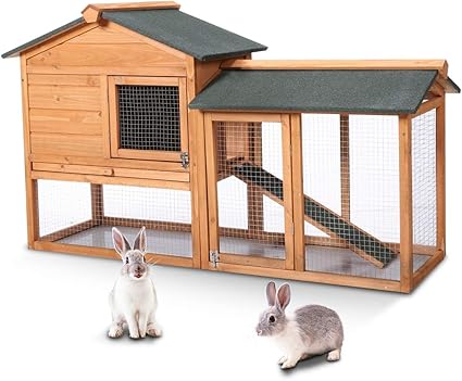 bunny house amazon