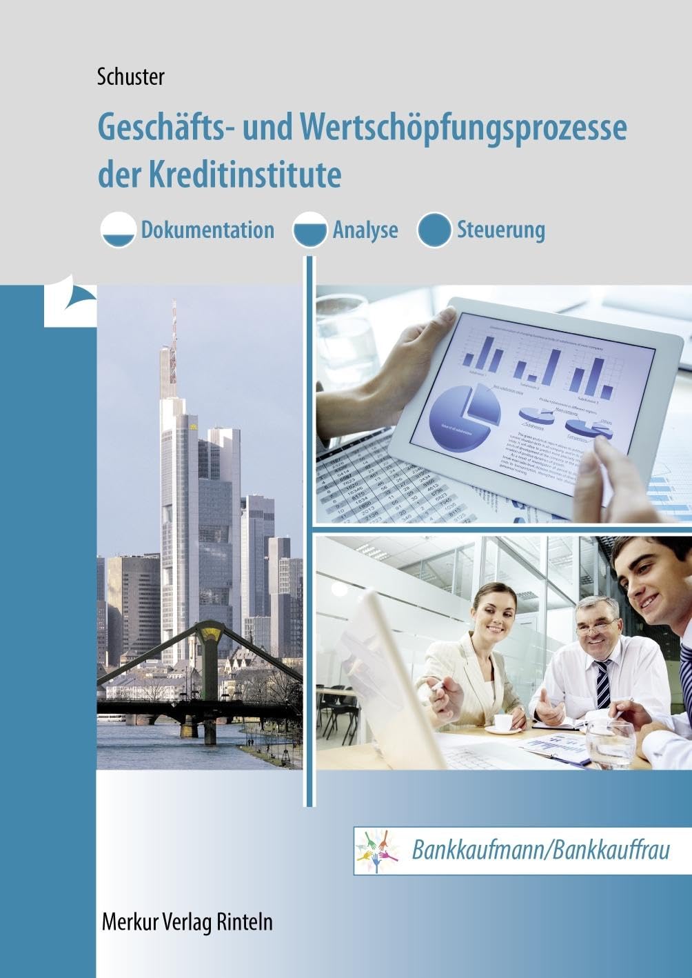 Geschäfts- und Wertschöpfungsprozesse der Kreditinstitute: - Dokumentation, Analyse, Steuerung