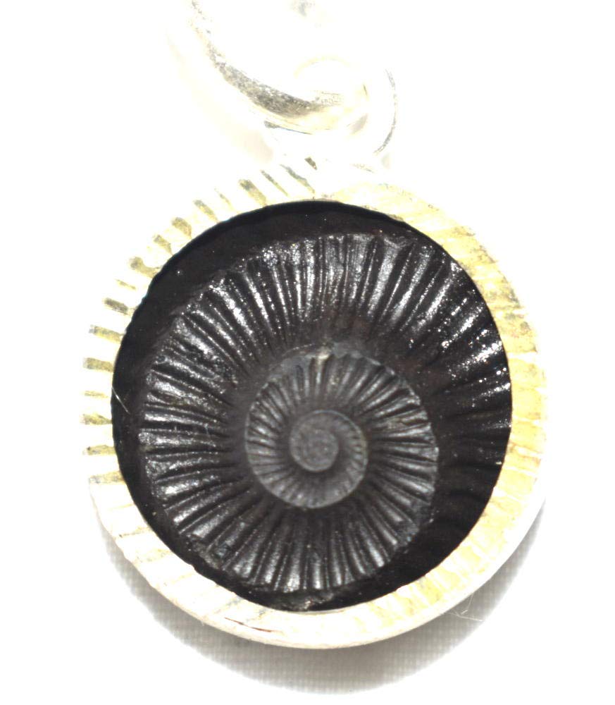 Rudrakshguru Black Wooden Sudarshan Shaligram Pendant