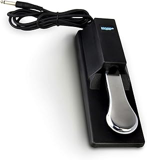 HQRP Universal Sustain Pedal for Casio CTK-491 CTK-496 CTK-571 CTK-573 CTK-591 CTK-593 CTK-671 CTK-691 CTK-691 CTK-700 Keyboard Footswitch