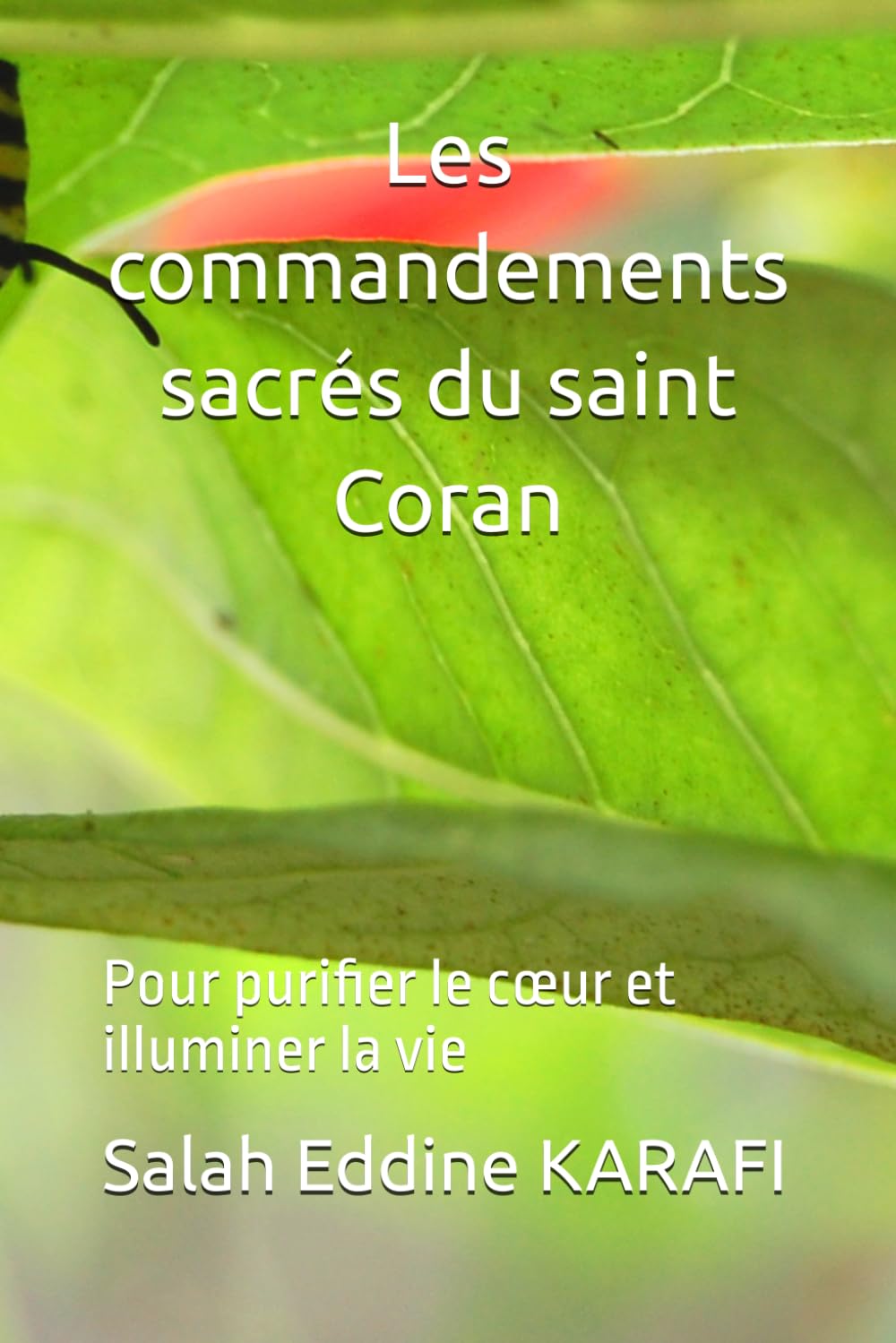Les commandements sacrés du saint Coran: Pour purifier le cœur et illuminer la vie (Guidance et sagesse du Coran)