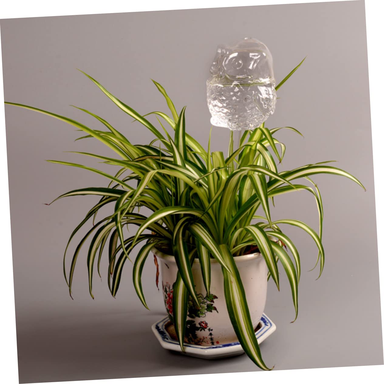 ibasenice Water Balls for Plants Automatic Watering Device Glass Watering Ball for Busy Gardeners