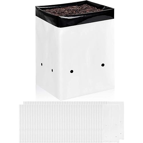 iPower 100-Pack 5 Gallon Grow Bags Black and White Panda Film Containers for Plants, Seedling and Rooting, Square Shape